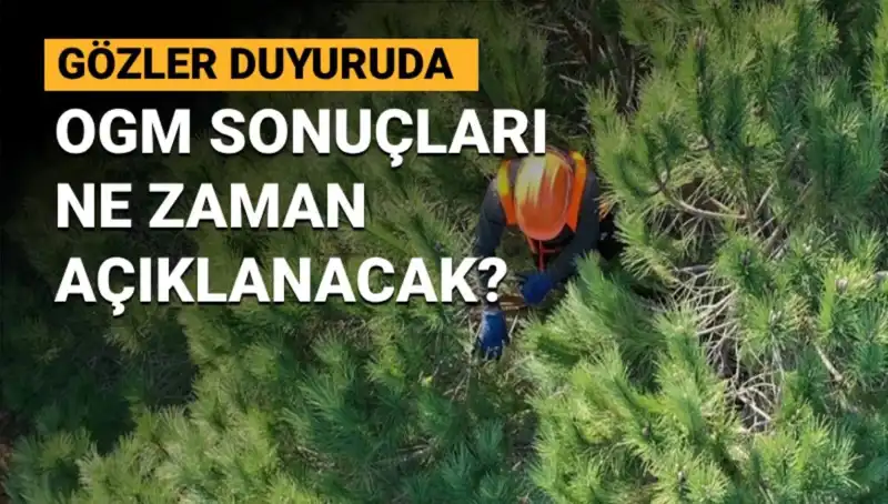 Orman Genel Müdürlüğü’nden Personel Alımında Son Gelişmeler