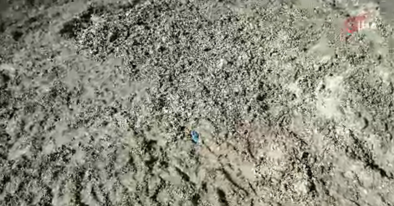 İstanbul'da Kayıp Çinli İş İnsanının Cinayetinde Şok Gelişme