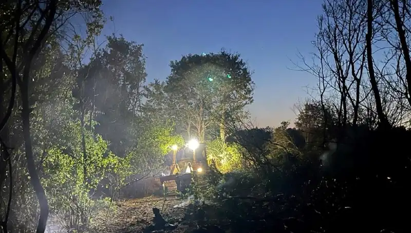 Edirne'de Orman Yangını Korkuttu, Anında Müdahale ile Sönüldü