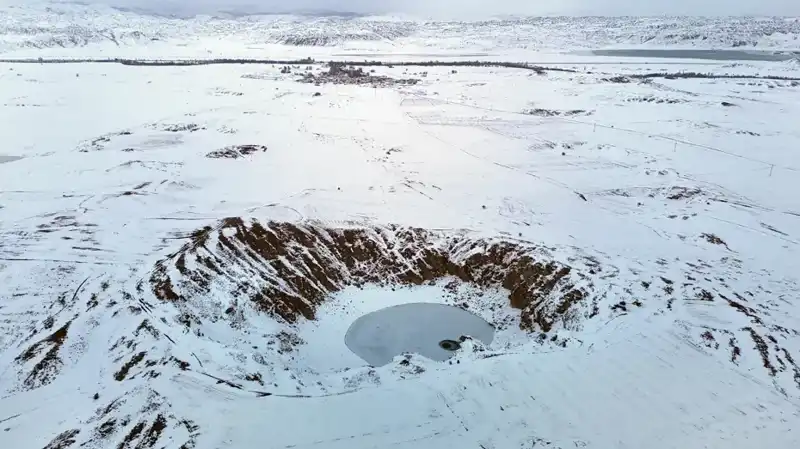 Dondurucu Soğuklarla Dans Eden Renk Değiştirici Güneş Çiçeği: Gerçekler ve Sırları