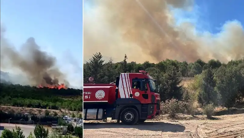 Gebze Orman Yangını: Doğa Felaketi İle Mücadele Başladı
