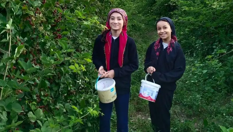 Dikkat! Bu Besinler Kansere Karşı Antioksidan Gücüyle Şaşırtıyor