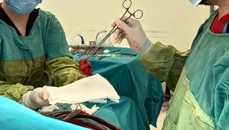 Kalp Kapağı Çürüyen Hastaya 7 Saatlik Ameliyat: Tıp Dünyasında Mucize!