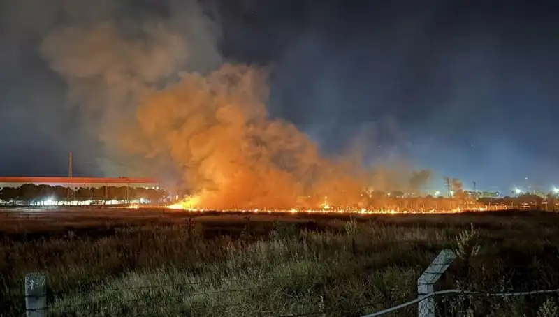 İzmir'de Gece Yarısı Yangın Paniği: Neden ve Sonuçları