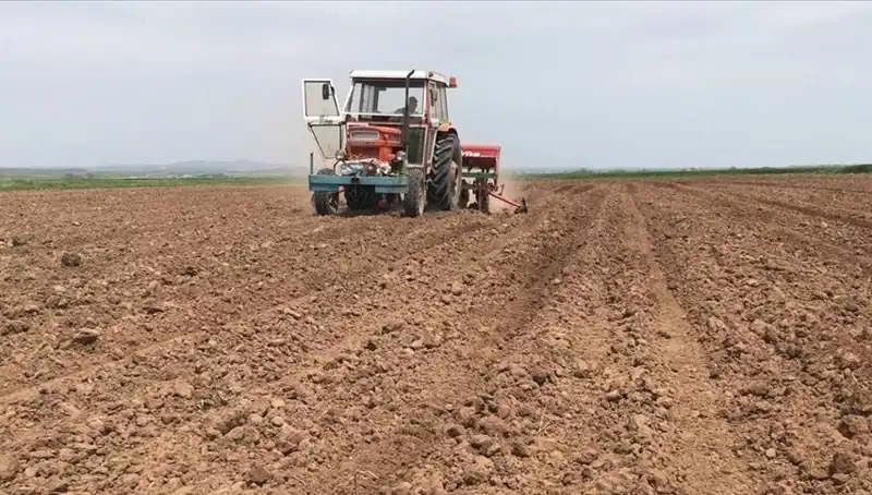 Son 35 Yılda Kaydedilen En Kurak Mart Ayı: Yağışlar Yüzde 59 Azaldı