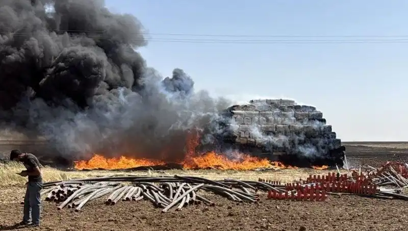 Mardin'de Anız Yangını: Tarımın Korkulu Rüyası Tekrar Gündemde