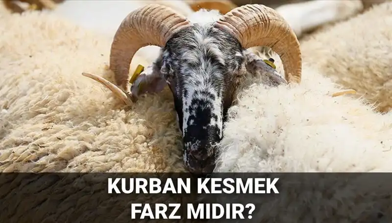 İslam’da Kurban Kesmenin Önemi ve Şartları Nelerdir?