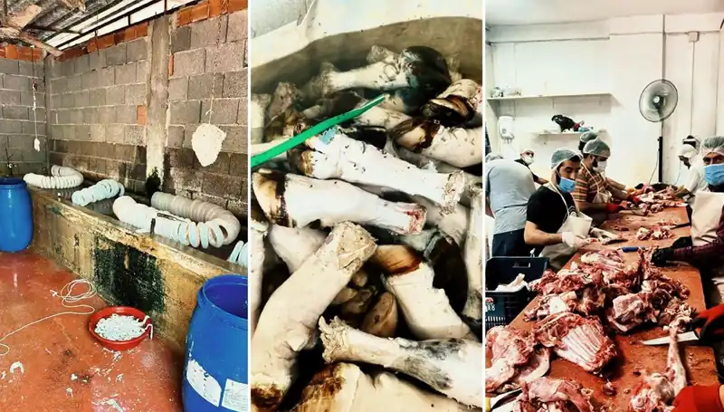 Adana’da Mide Bulandıran Paça Skandalı: Yüzlerce Kilo Ele Geçirildi