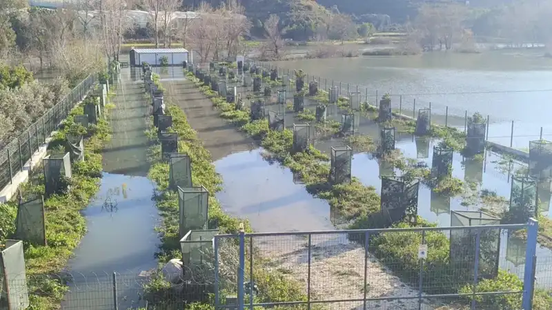 Irmak Taştı, Otoyol Şantiyesi Sular Altında: Felaketin Eşiğindeyiz