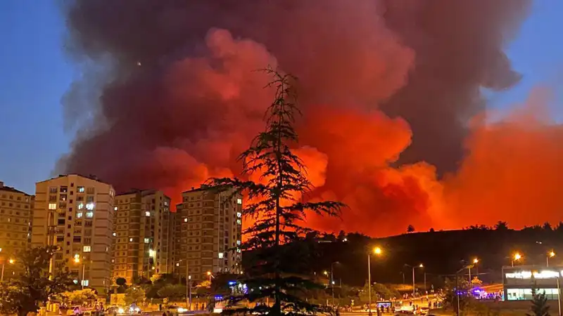 Bursada Yangın Alarmı: Şehirdeki Gelişmeler ve Nedenleri