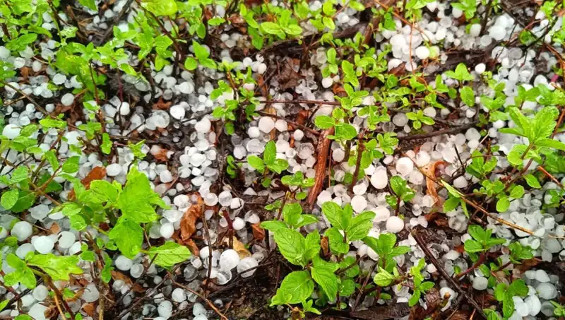 Temmuz Ortasında Yaşanan Dolu Olayı Herkesi Şaşırttı