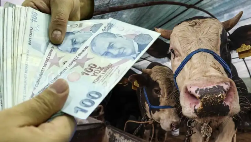 Emekli ve Memur Maaşları Kurban Bayramı'ndan Önce Yatacak Mı?