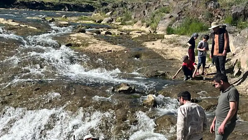 İnci Kefalinin Büyüleyici Göçü: Doğa Severler İçin Eşsiz Bir Deneyim