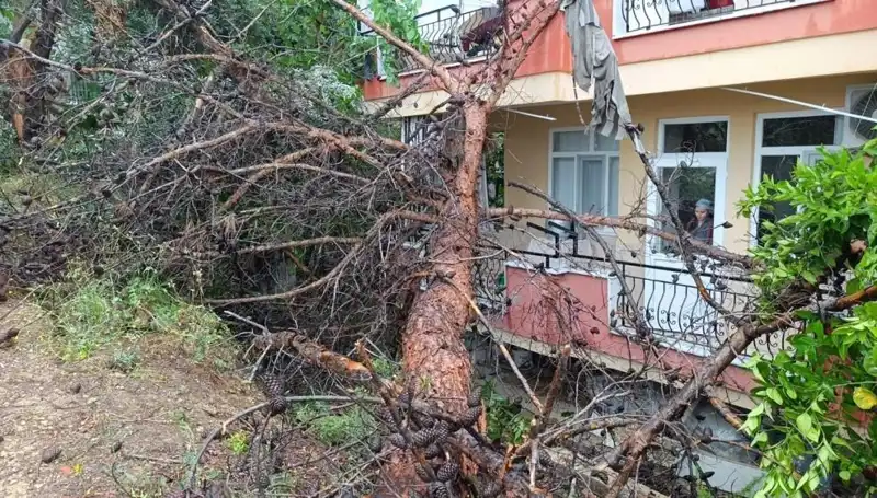 Tahrip Edici Yağmur: Bina Çöktü, Kentin Kalbi Sarsıldı!