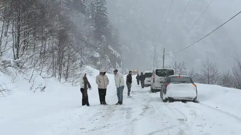 Trabzon'da Yaşanan Çığ Felaketiyle Karayolu Ulaşıma Kapandı