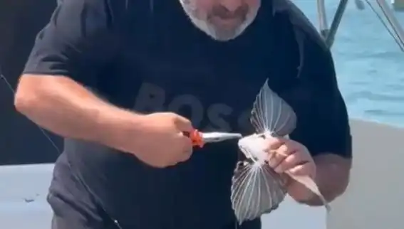 Saros Kıyılarında Nadir Kırlangıç Balığı Avlandı: Balıkçılar Şaşkın!