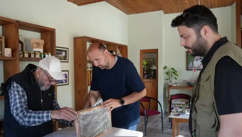 Doktor Tavsiyesi: 1 Çay Kaşığını Geçmeyin, Hem Şifa Hem Zehir!