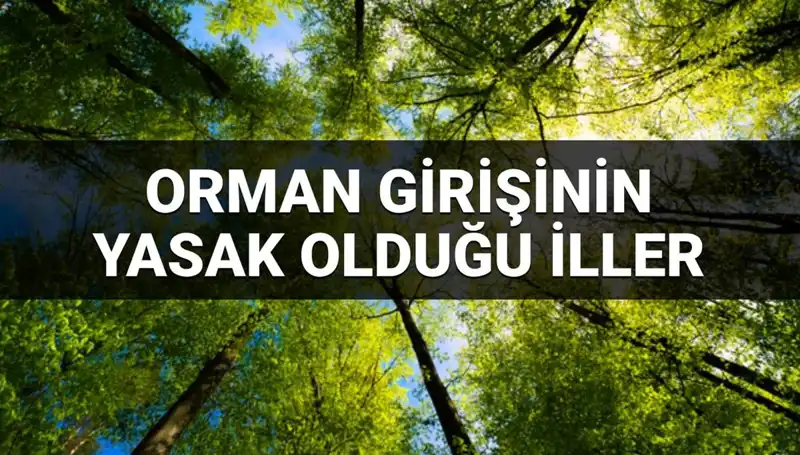 2025’te Ormana Girmek Yasak Olan İller Açıklandı: Hangi İllerde Yasak Var?