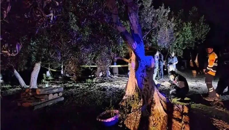 Çiftlikteki Baltalı Vahşet: Şok Edici Tutuklama ve Detaylar Ortaya Çıktı