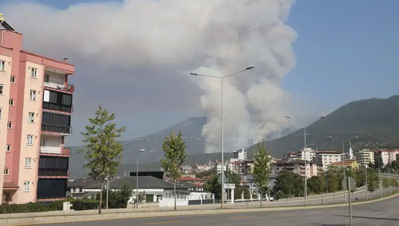 Denizli'de Orman Yangını Gerçek Sebebi Merak Ediliyor: Bir Şüpheli Gözaltında!