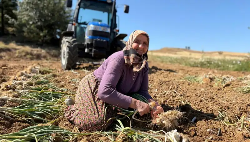 Dünyada Eşine Rastlanmayan Selenyum Zenginliği: Günlük 1200 Lira Kazandırıyor