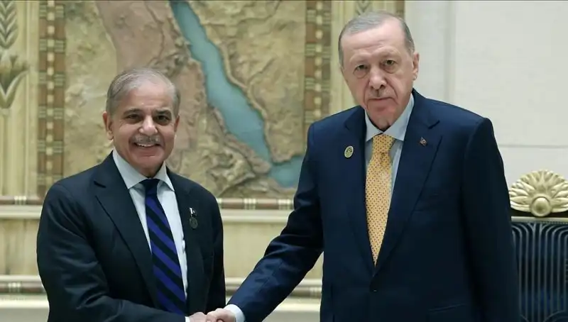 Cumhurbaşkanı Erdoğan, İstanbul'da Pakistan Başbakanı Şerif ile Kritik Görüşme Yapacak