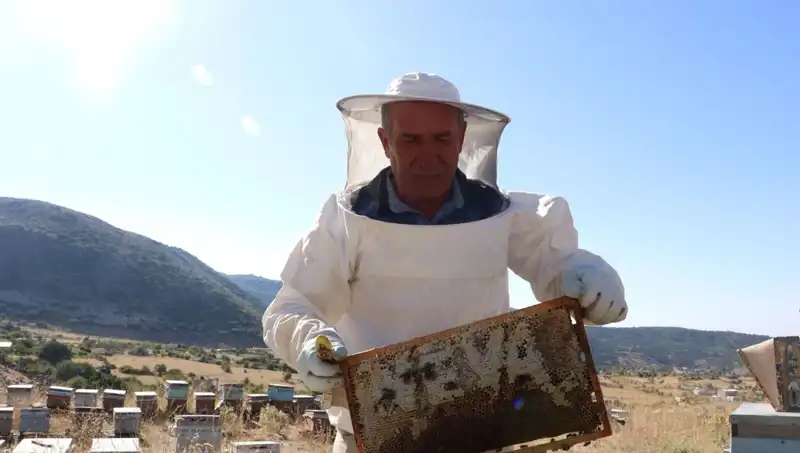 25 Yıl Sonra Mobilya Değil, Tamamı Doğal Ürünler: 2 Ton Elde Etti!