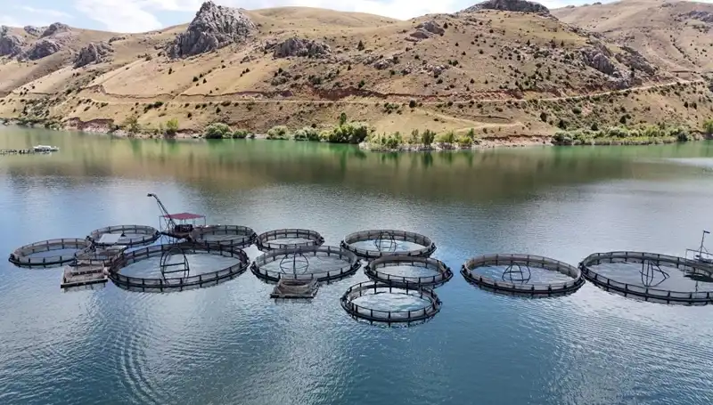 Denizi Olmayan İlçe, 5 Bin Ton Balıkçılık Hedefliyor!